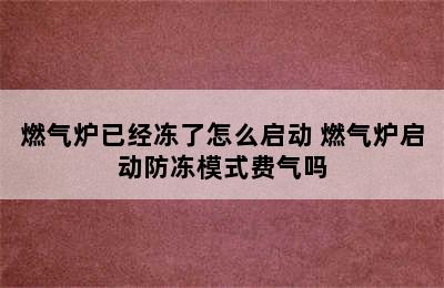 燃气炉已经冻了怎么启动 燃气炉启动防冻模式费气吗